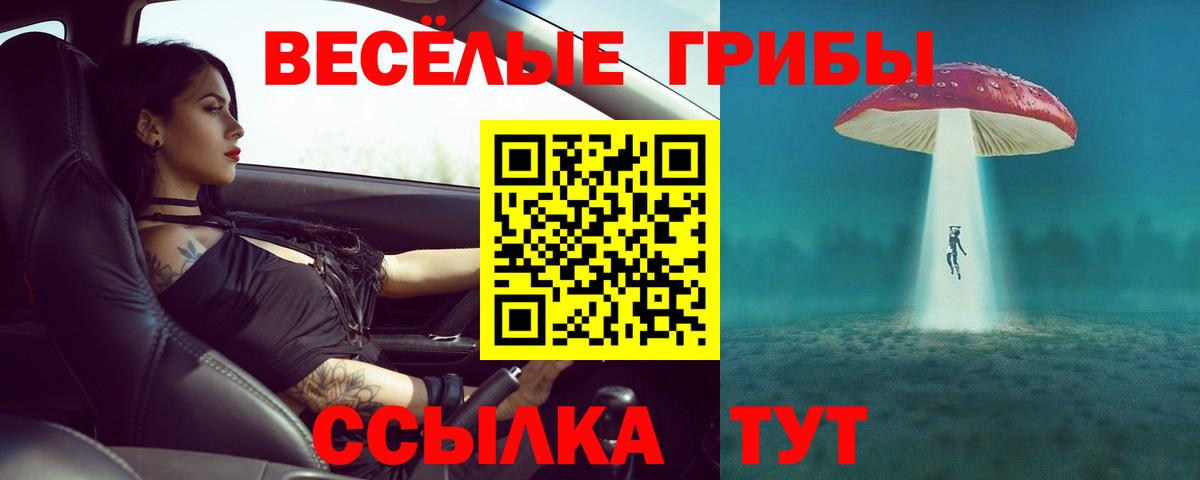 Галлюциногенные грибы GOLDEN TEACHER  Псилоцибиновые грибы мухоморы  Вход с VPN  Россия 