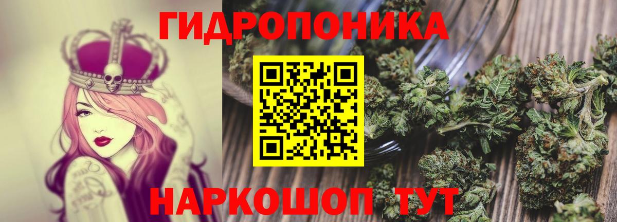 Россия  Марихуана планчик  Вход с VPN  Бошки марихуана гибрид 